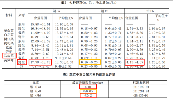 這種長壽菜現(xiàn)在吃正好：曾被當(dāng)作豬食 營養(yǎng)價值極高