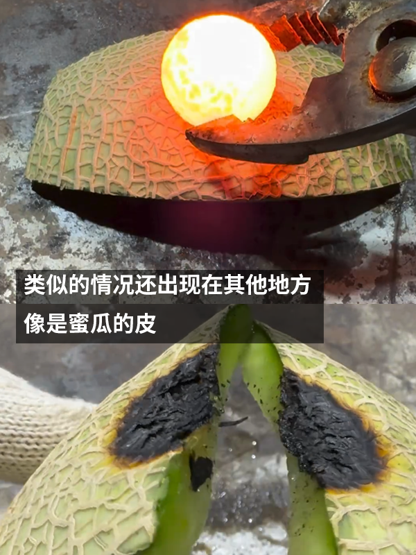 菠蘿皮能抗住1000°C鐵球嗎：有人做了一次真實試驗