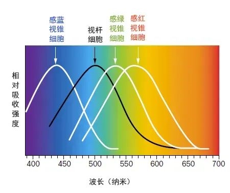 英國國王肖像畫引熱議：其實查爾斯自己第一眼看到也驚了