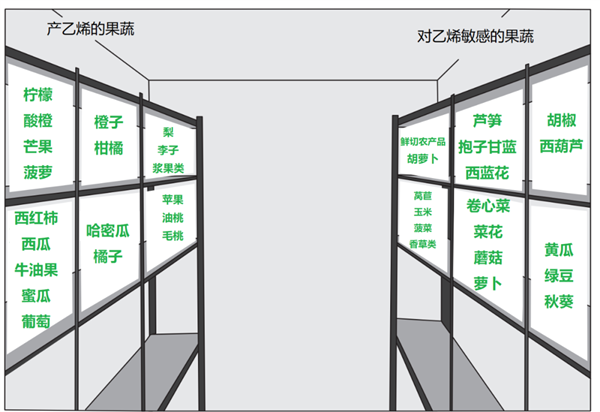 家人們 這兩類水果在冰箱里真的不要放一起！