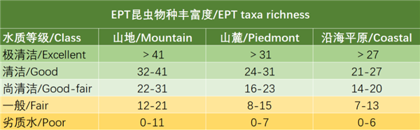 15厘米厚的蟲子布滿道路慘死車輪下：而這竟是環(huán)境變好的征兆