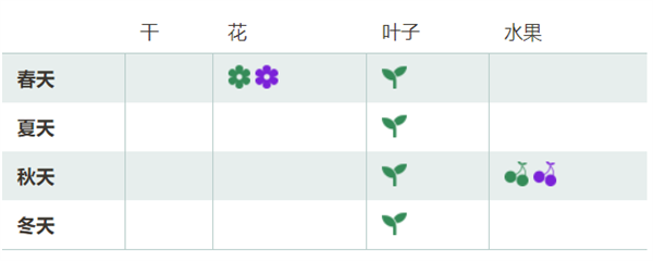 八月瓜上市！通便、維生素C含量高：很多人可能第一次見