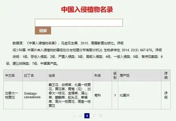 又見入侵物種加拿大一枝黃花：除不盡滅不絕的“霸王花”